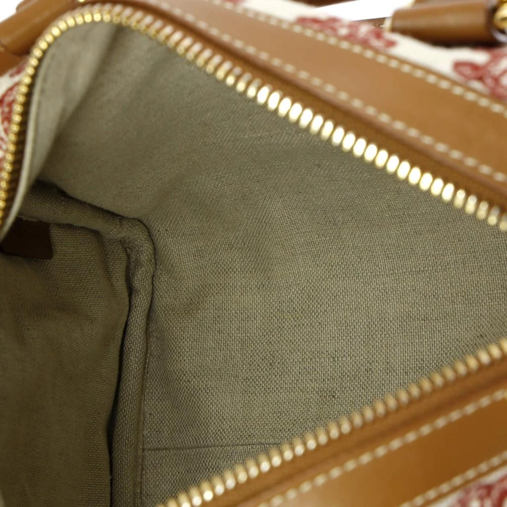 Celine Boston Bag	 Triomphe Canvas Small 5