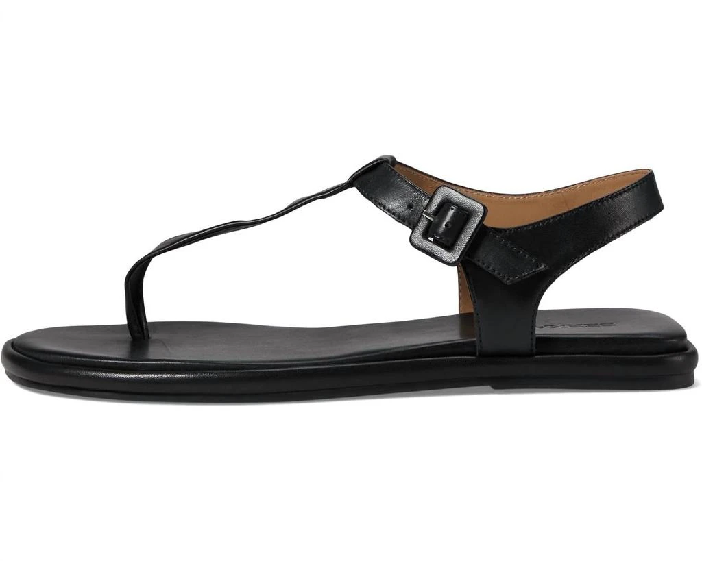 Bernardo Women's Tucson Sandal In Black Glove Leather 2