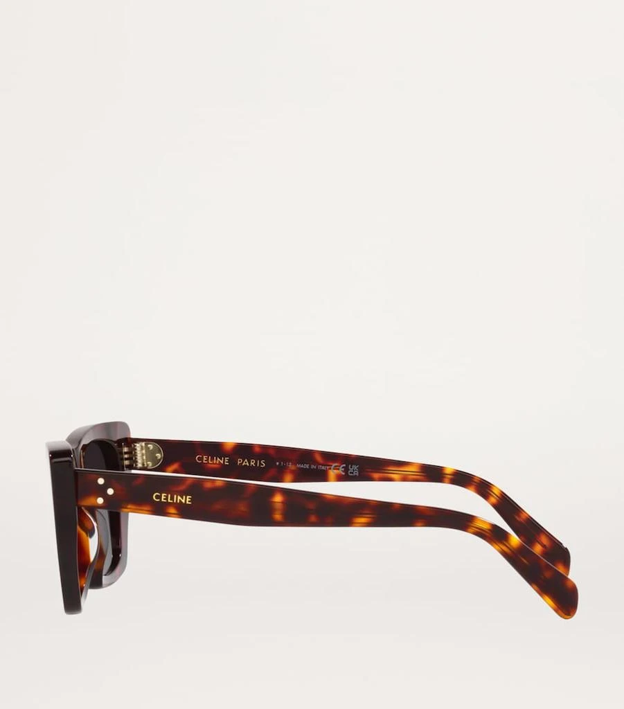 Celine Acetate 0CL000324 Sunglasses 2