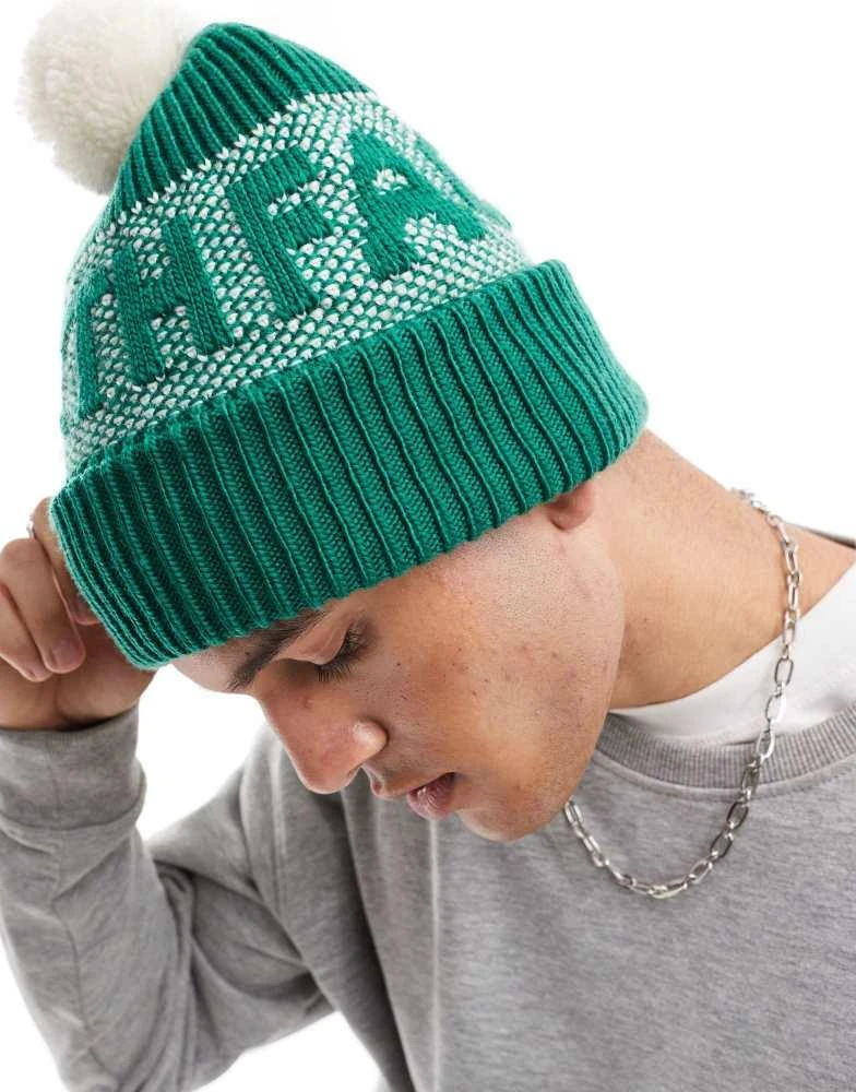 The North Face The North Face retro logo pom beanie in green 3
