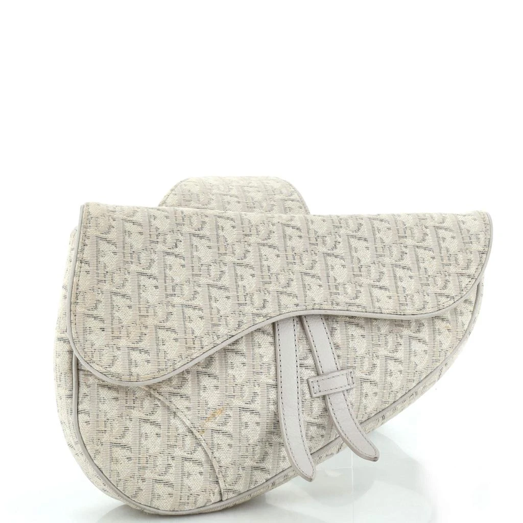 Dior Saddle Crossbody Bag Oblique Canvas 1