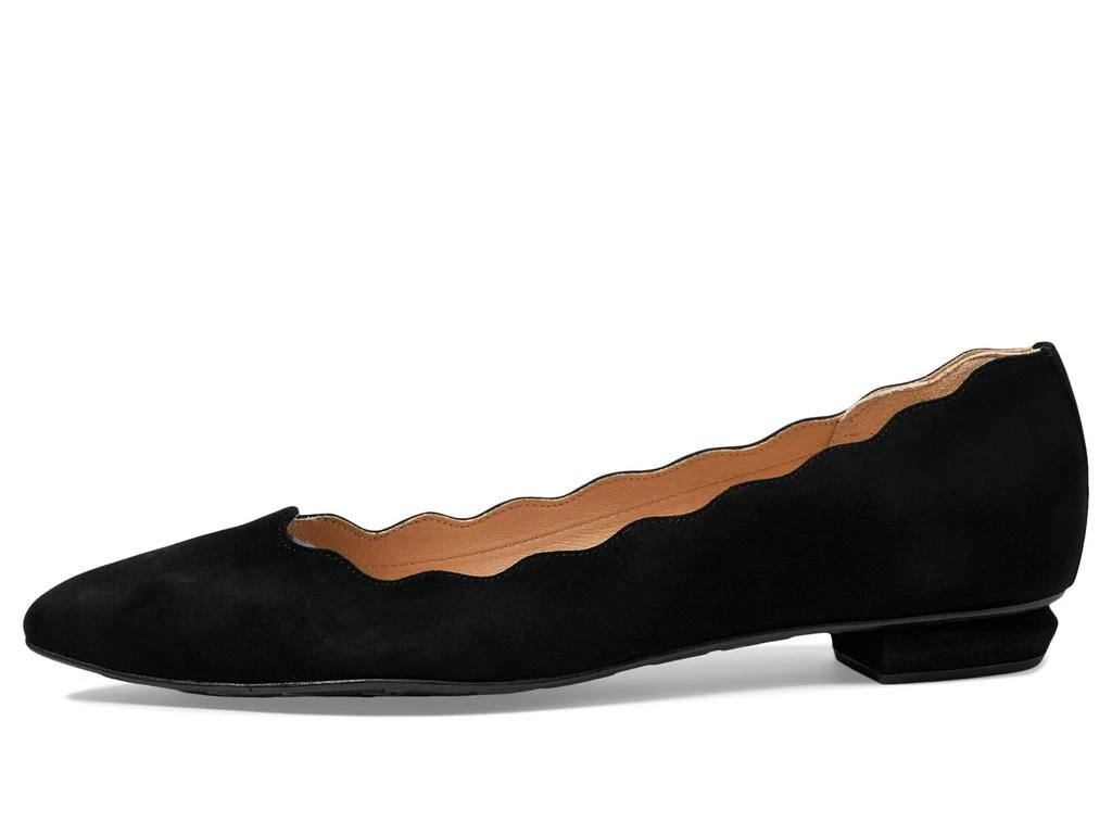 French Sole Tequila 4