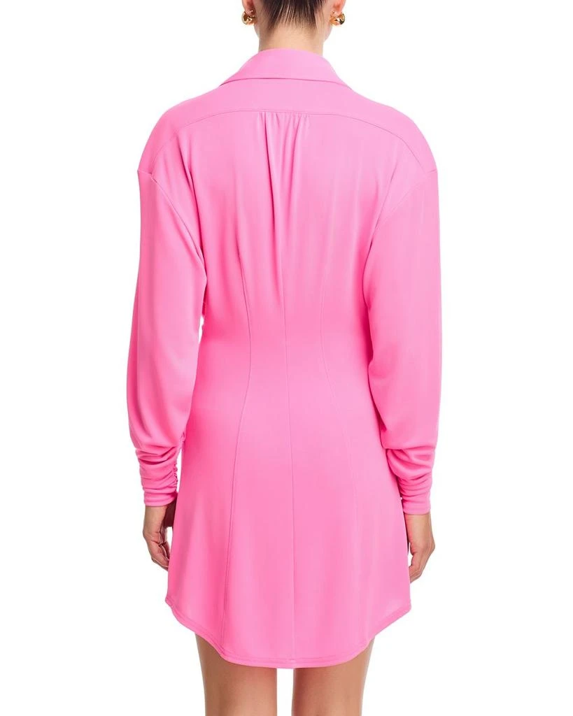 Cinq à Sept Arden Dress 4