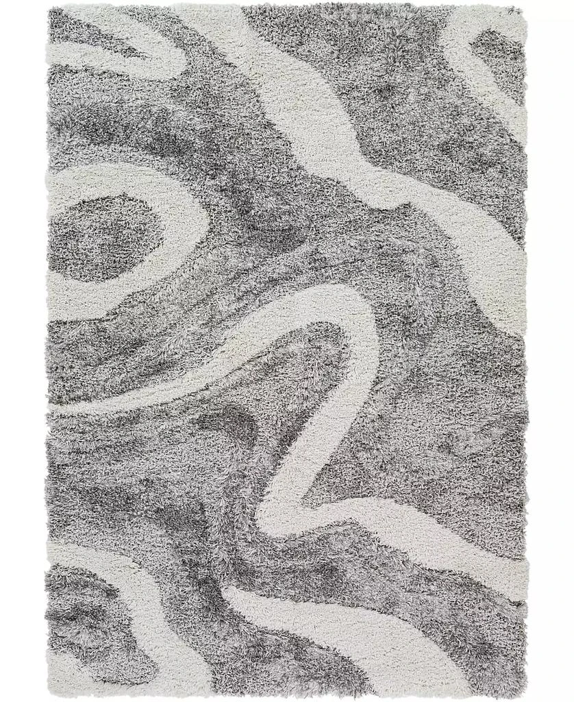 Surya Alta Shag ASG2303 5'3" x 7' Area Rug 1