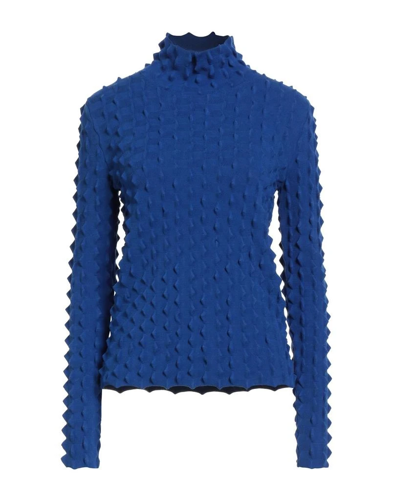 Stella McCartney Turtleneck 1