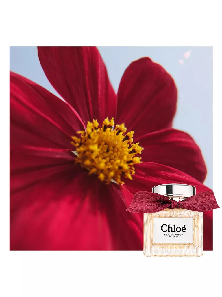 Chloé Chloé L’Eau de Parfum Intense 7