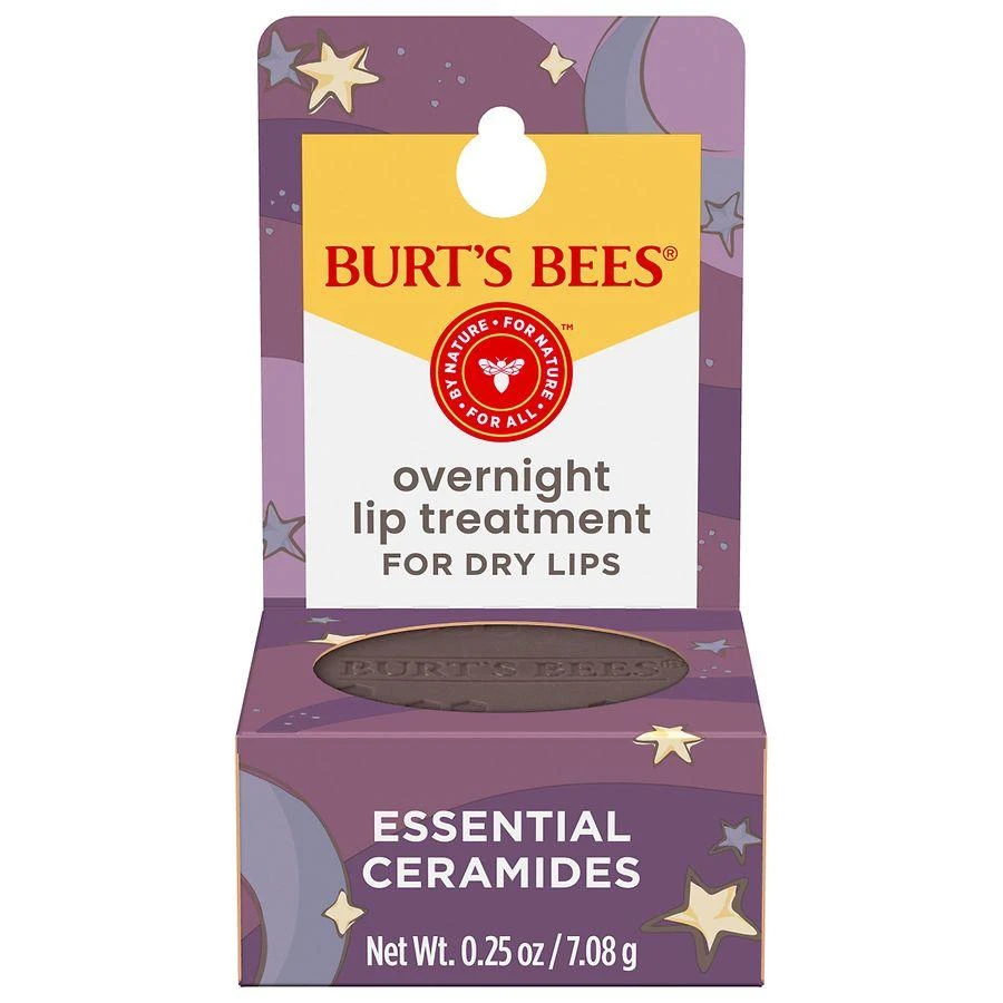 Burt's Bees Overnight Lip Treatment for Dry Lips 1