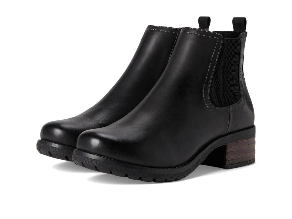 Eastland Jasmine 1