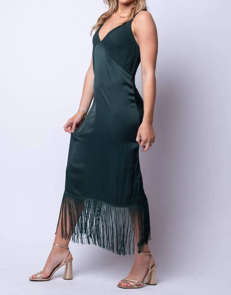 Young Fabulous & Broke Young Fabulous & Broke - Feliz Dress 2