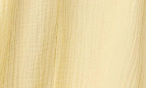 Joe's Gauze Maxi Dress 4