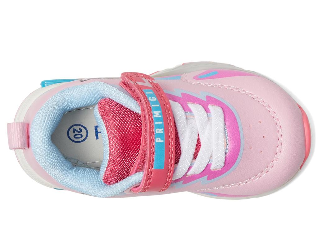 Primigi Kids PRH 69595 (Toddler/Little Kid)