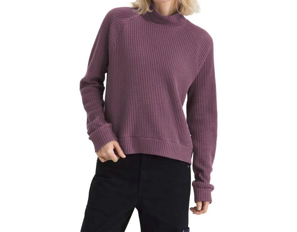 The North Face The North Face - Mock Neck Chabot Pullover 5