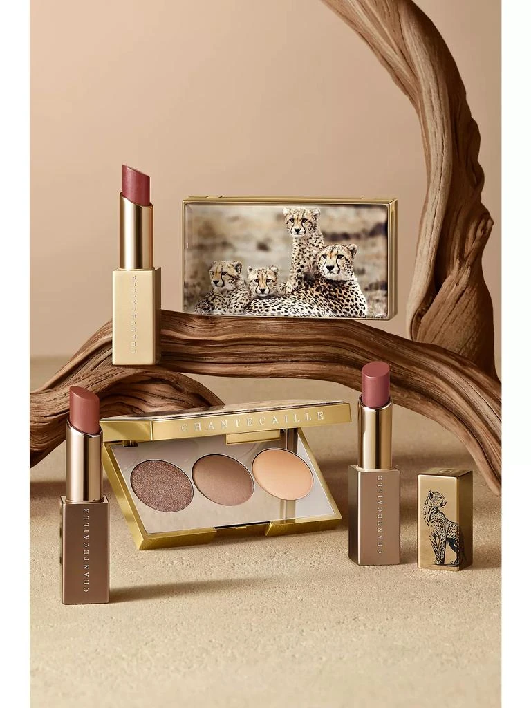 Chantecaille Cheetah Eye Trio 6