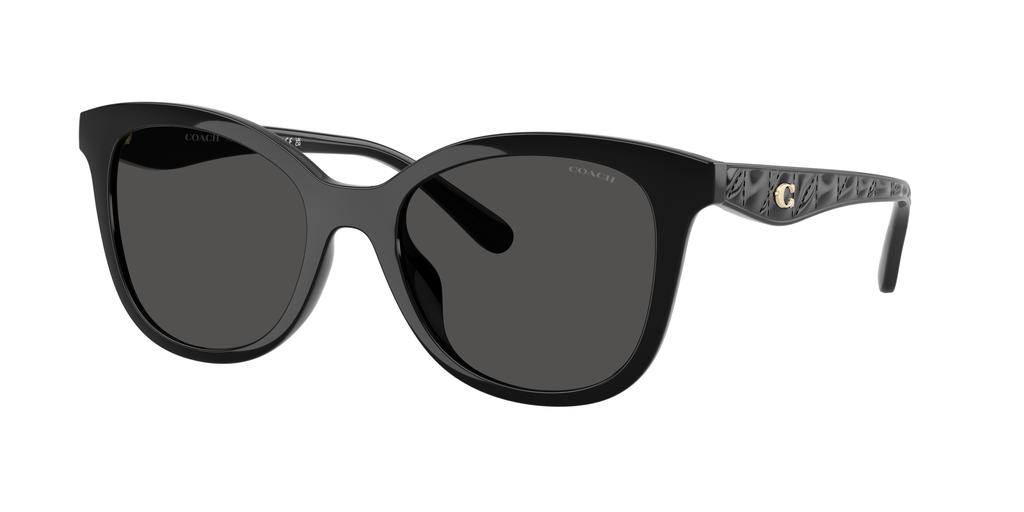 Coach Coach Woman Sunglass HC8419U CAD25