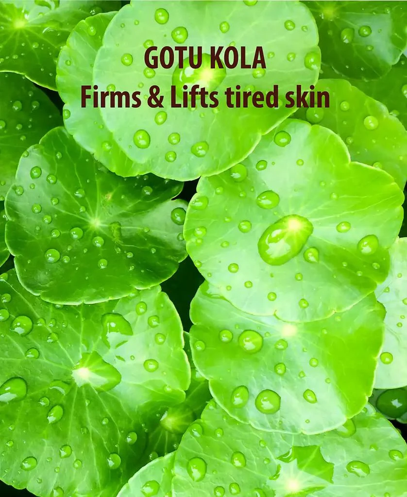 SUNDÃRI Sundari Gotu Kola And Geranium Moisturizer 3