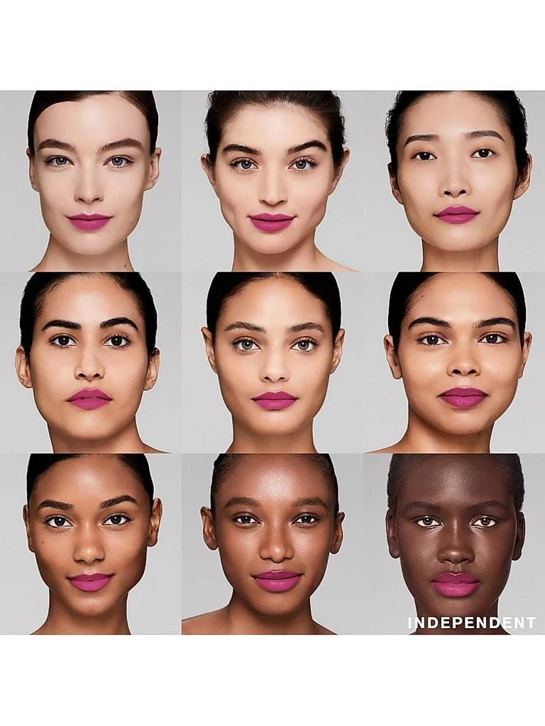 Estée Lauder Pure Color Matte Lipstick 4