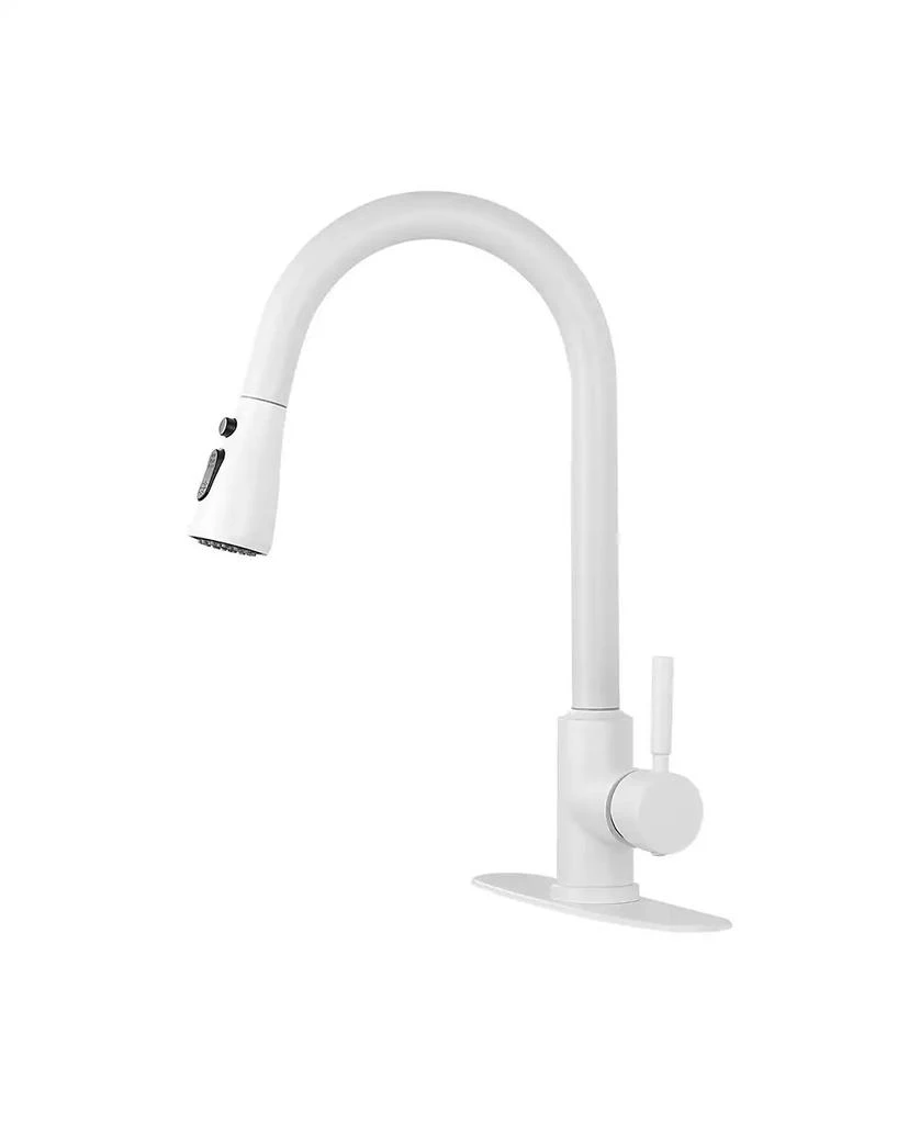Flynama Kitchen Faucet with Pull Out Spraye