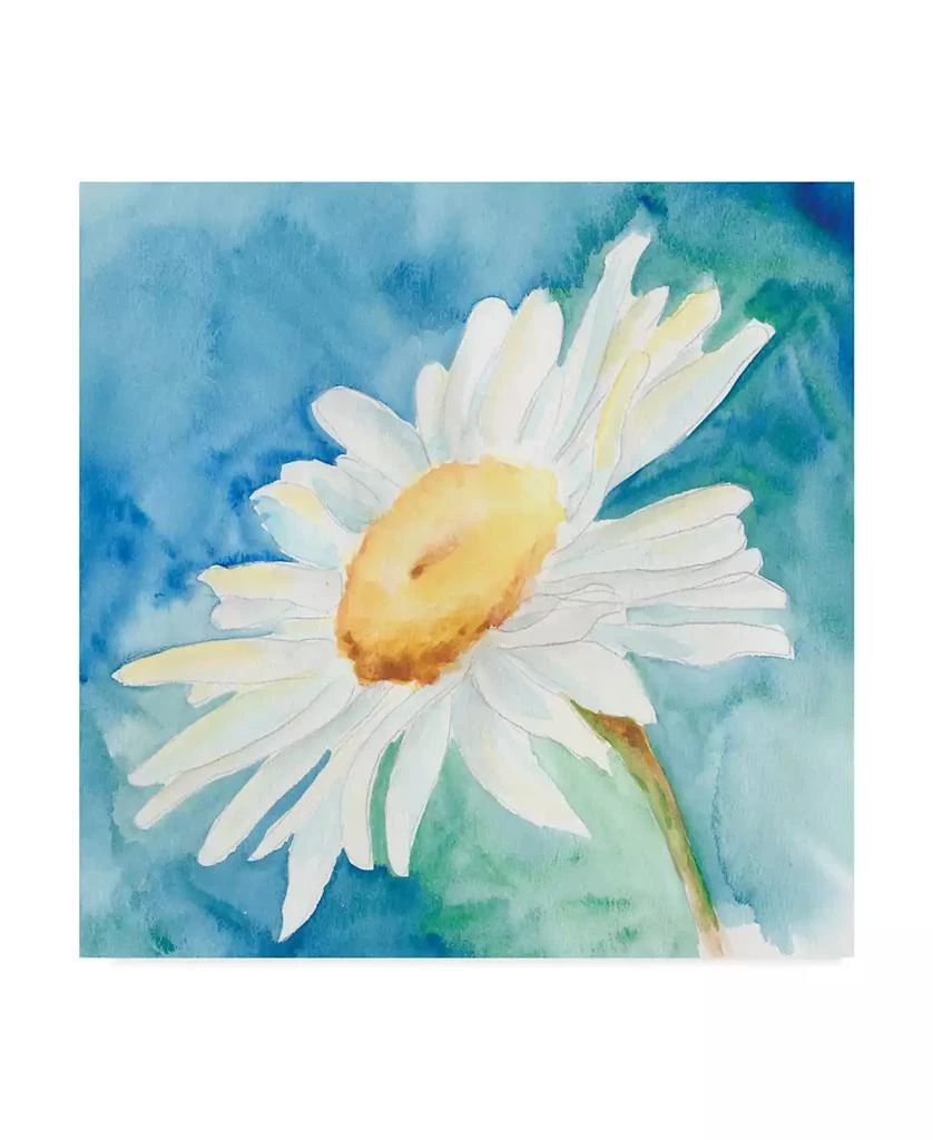 Trademark Global Regina Moore Daisy Sunshine I Canvas Art - 15" x 20"