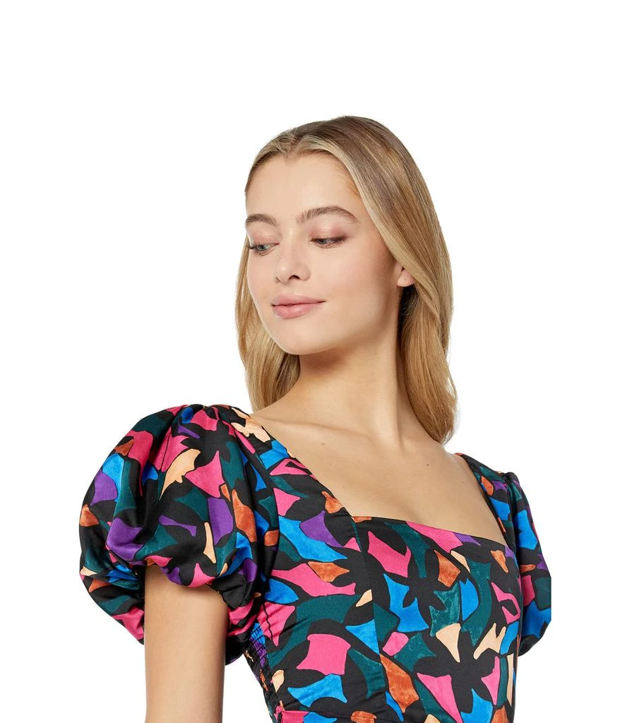 Show Me Your Mumu Danielle Mini Dress 3