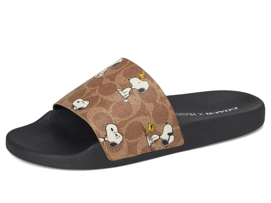 Coach Udele Peanuts Sport Slide 7