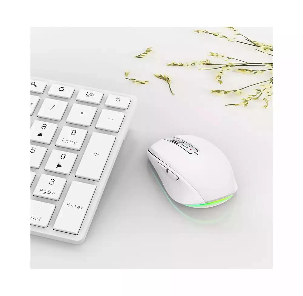 risokeys Dual-Mode Wireless Mouse-(2.4G 
Bluetooth 5.1), 2400 DPI Adjustable, Silent Click, Type-C Rechargeable 4
