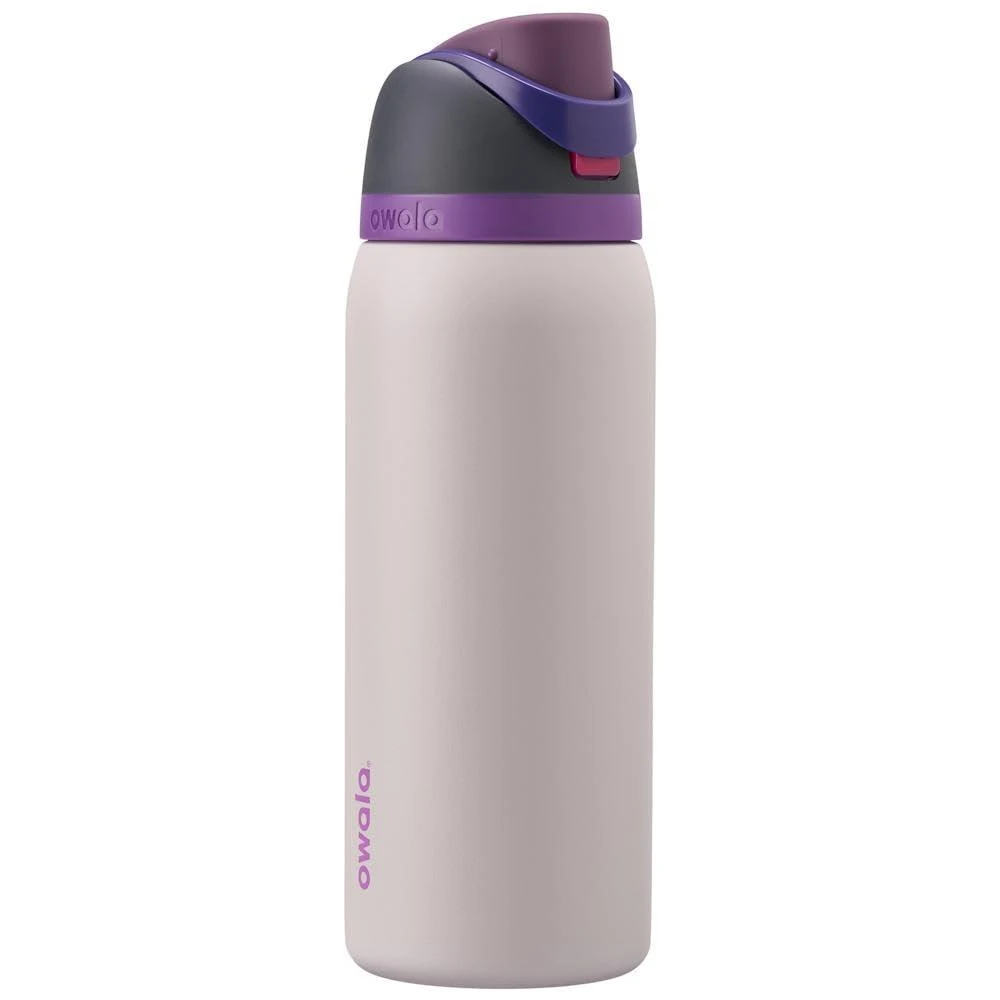 Owala Owala FreeSip Insulated Stainless Steel Water Bottle with Straw for Sports, Travel, and School BPA-Free Sports Water Bottle, 32 oz, Dreamy Field 1
