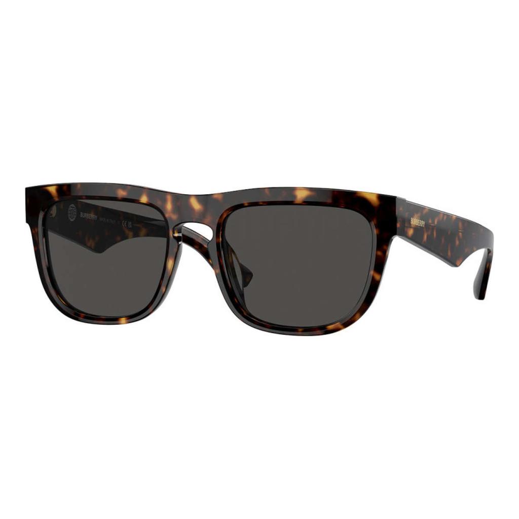 Burberry Burberry Men's Brown Square Sunglasses