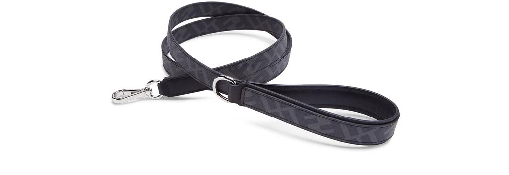 Fendi Dog leash 3