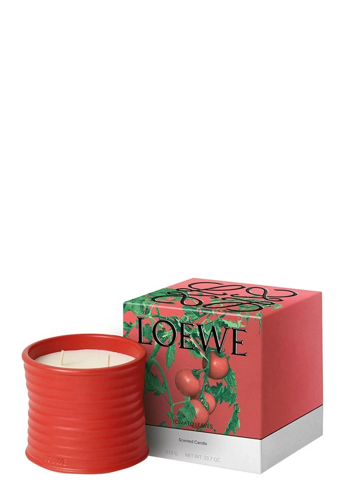 Loewe Tomato Leaves Candle - Medium 610g 5