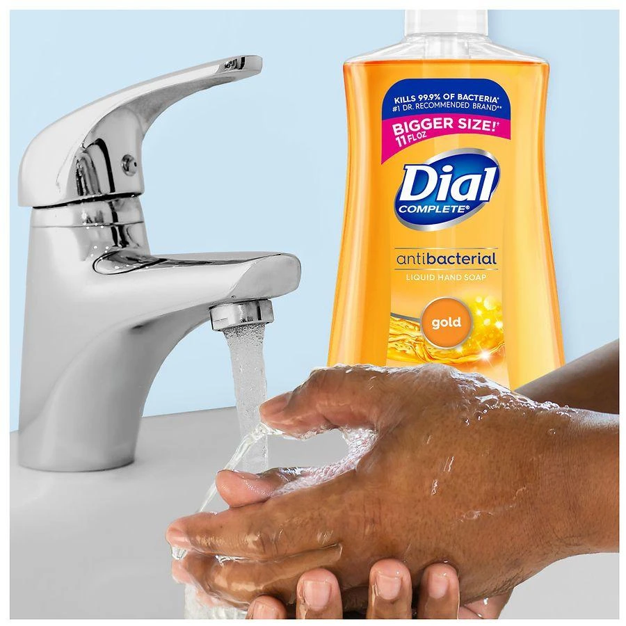 Dial Complete Antibacterial Liquid Hand Soap Gold 6