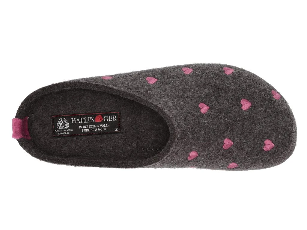 Haflinger Cuoricini 2