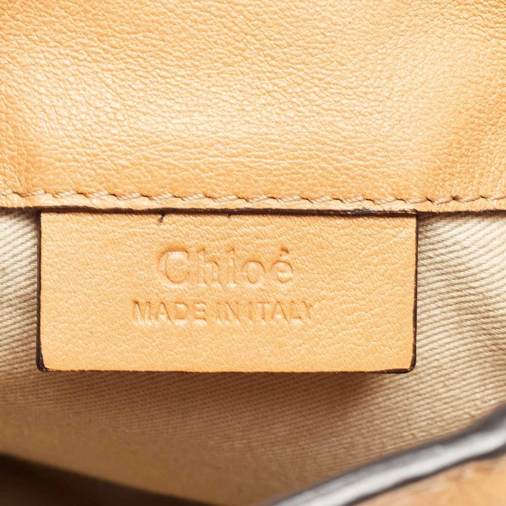 Chloé Chloe Tan Leather and Suede Mini Faye Daye Backpack 12