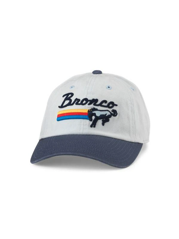 American Needle Logo Graphic Baseball Hat 1