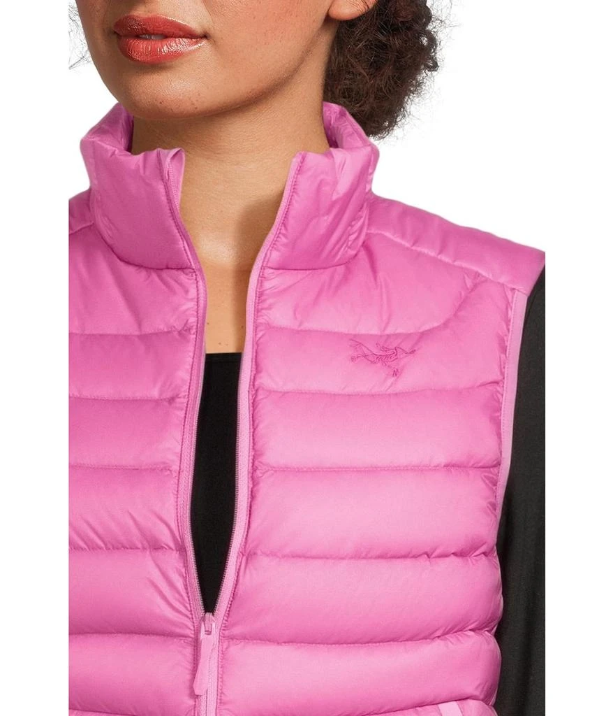 Arc'teryx Cerium Vest 4