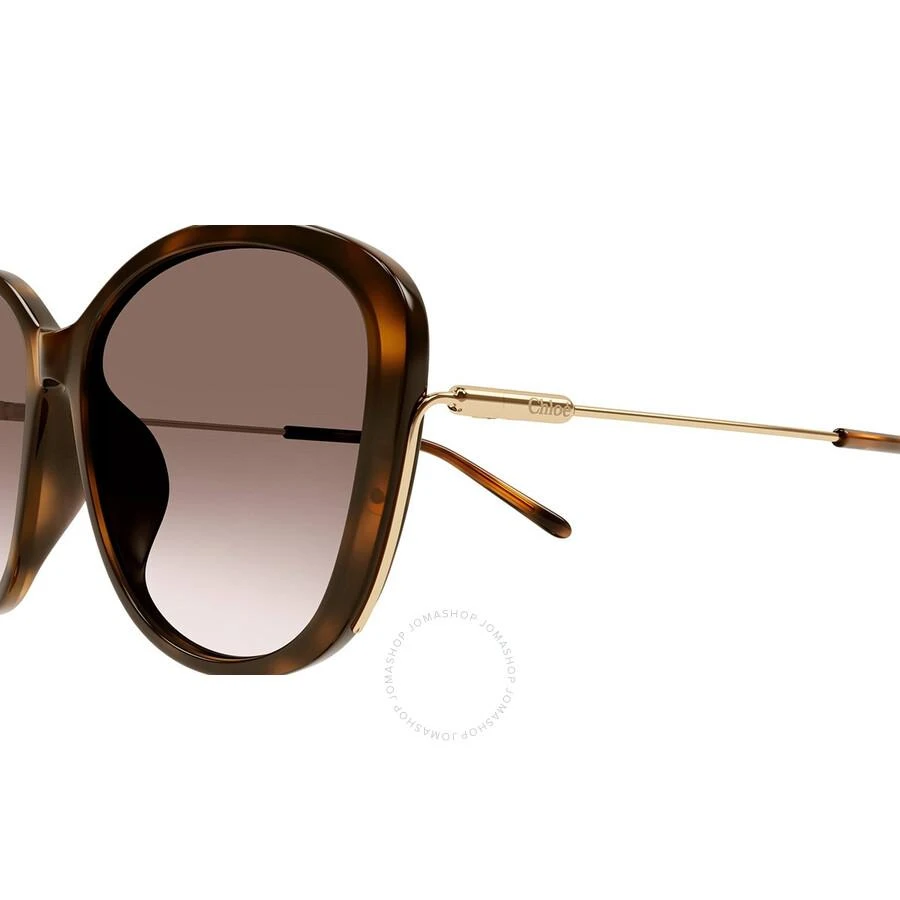 Chloé Brown Gradient Butterfly Ladies Sunglasses CH0175SK 002 59 3