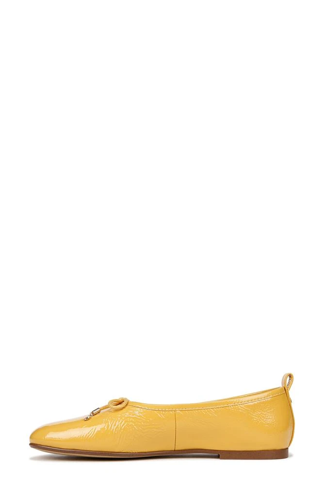 Sam Edelman Ari Ballet Flat 9