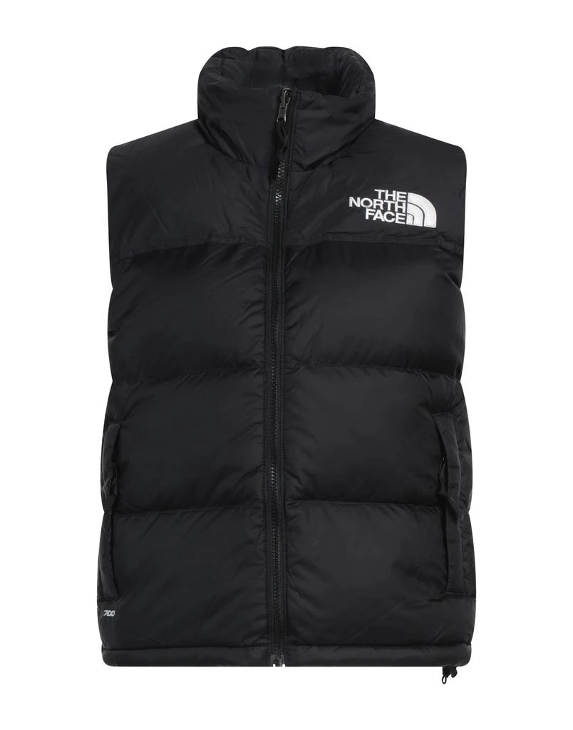 The North Face Vest 1