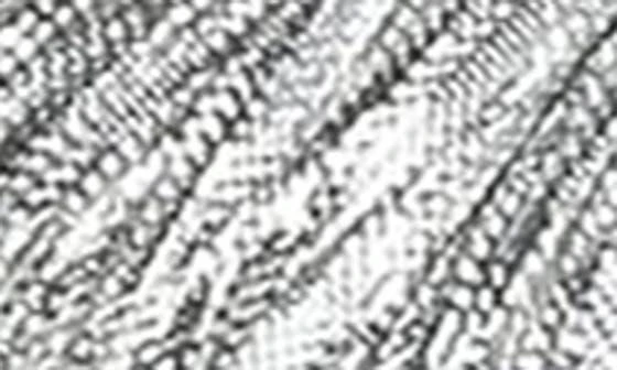 Sam Edelman Cindie Sandal 10