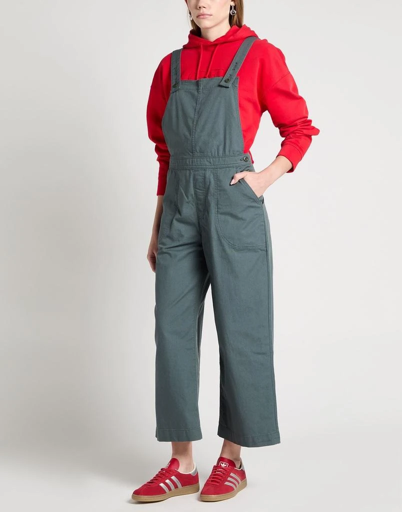 Patagonia Overalls 2