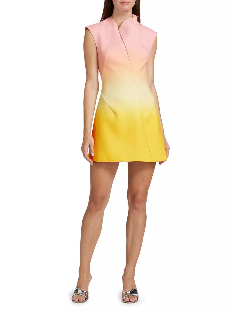 Acler Warfield Gradient Minidress