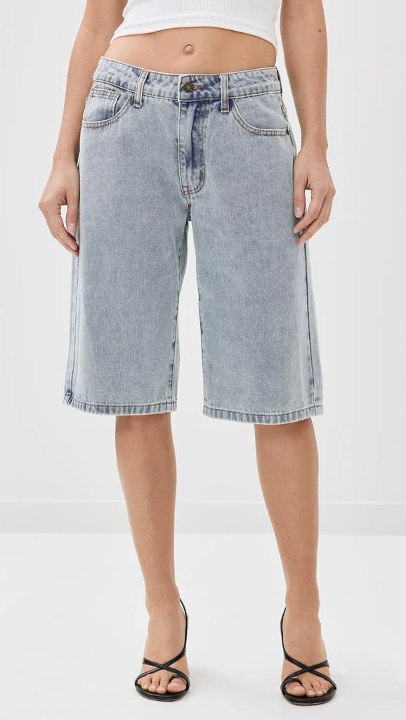 Lioness Kurt Jorts 1