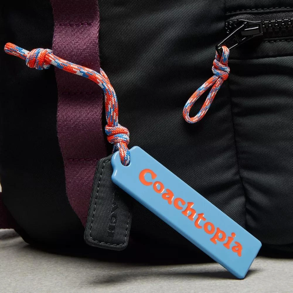 Coach Coachtopia Loop Mini Backpack 9