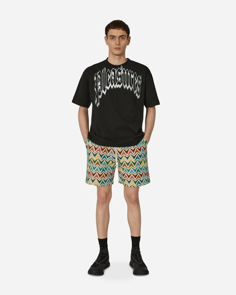 Pleasures Basket Woven Shorts Multicolor 4