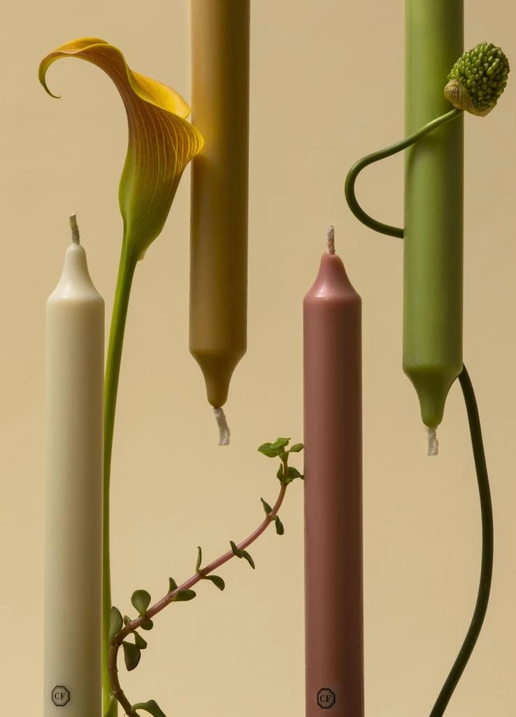 Carriere Freres 6 Scented Taper Candles Spearmint 5