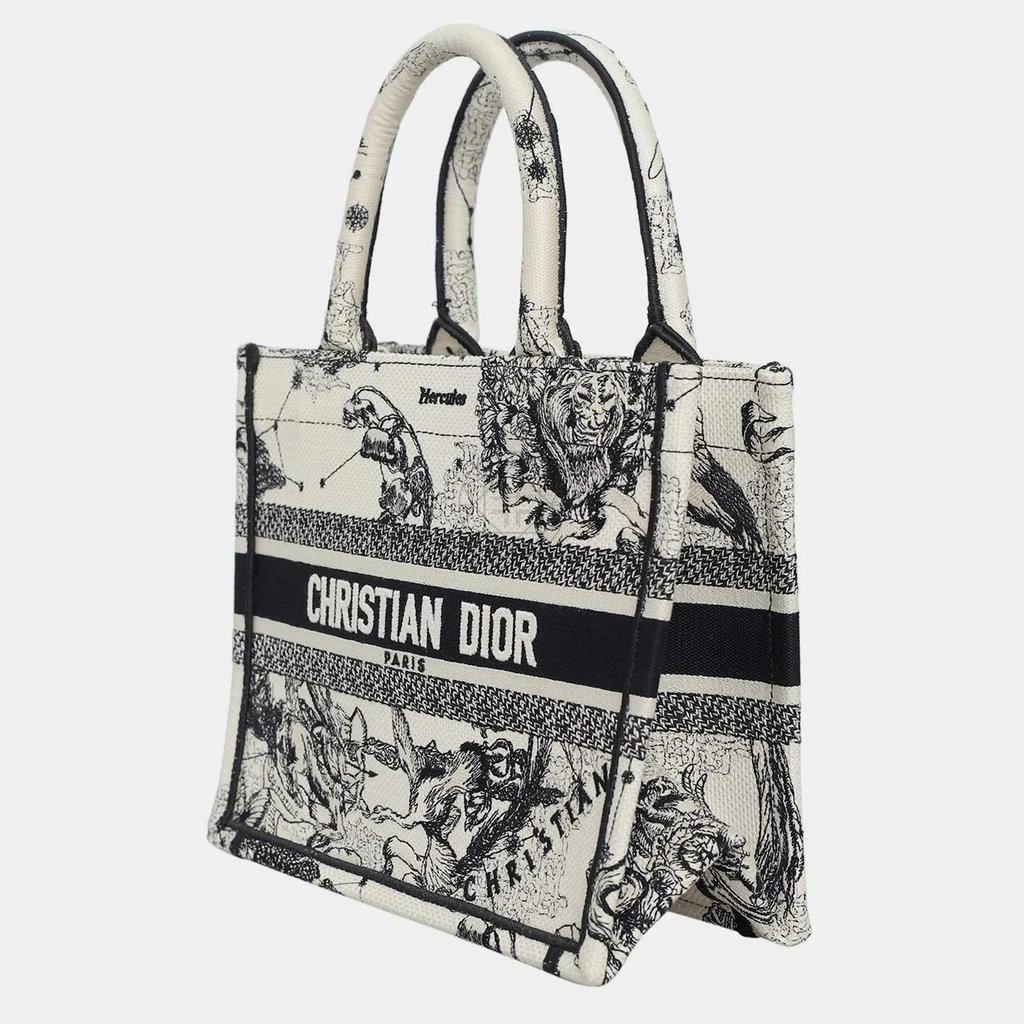Dior Christian Dior Book Tote Bag 3