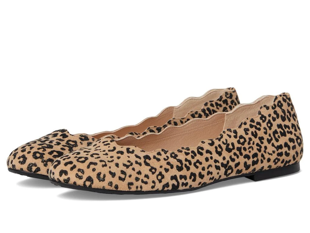 French Sole Jigsaw 1