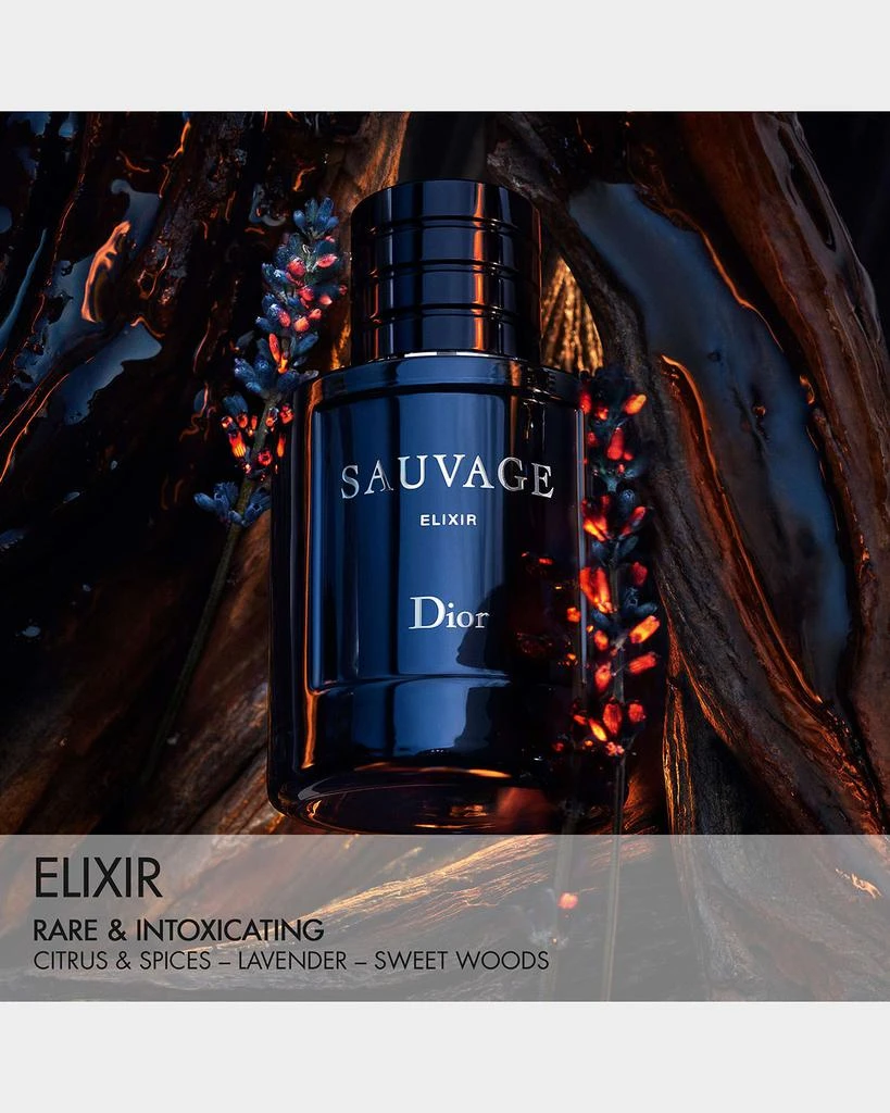 Dior Sauvage Elixir Eau de Parfum 3