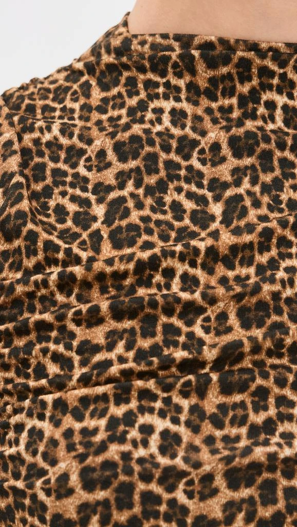 Miaou Cam Top 5