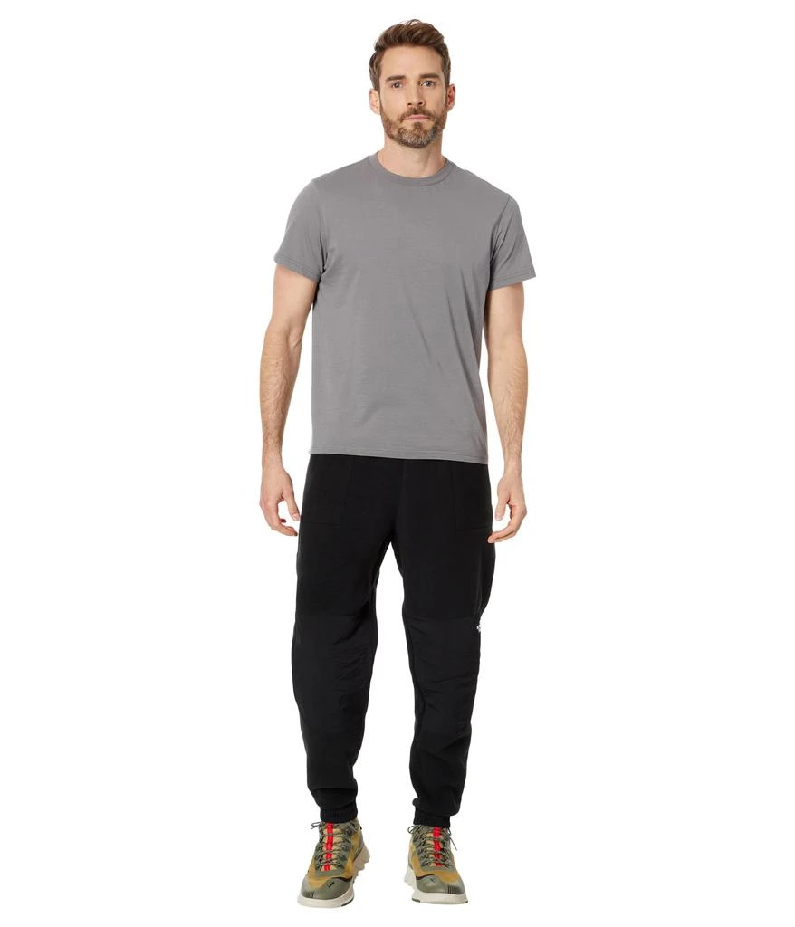 The North Face Denali Pants 4