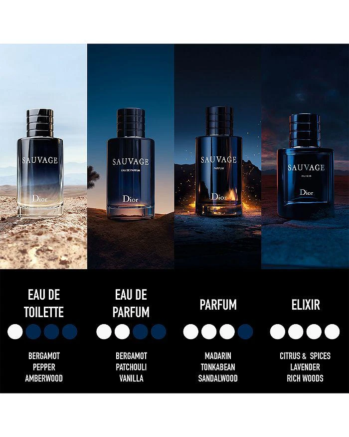 Dior Sauvage Eau de Parfum 4